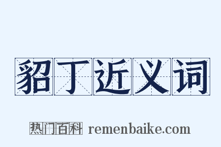 貂丁近义词是什么意思的图片